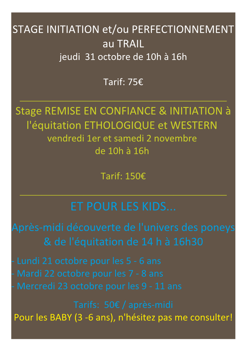 STAGES WESTERN ET ETHOLOGIQUE, Easy horse